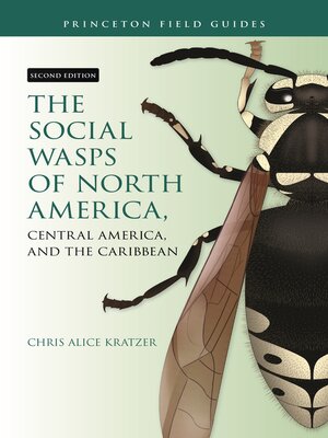cover image of The Social Wasps of North America, Central America, and the Caribbean